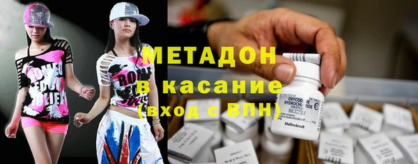 прущие грибы Алзамай