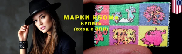 прущие грибы Алзамай