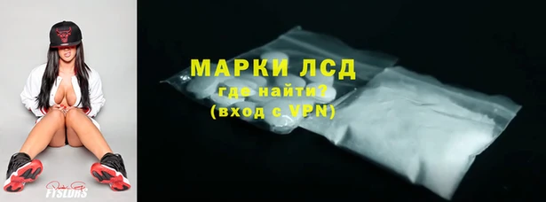 прущие грибы Алзамай
