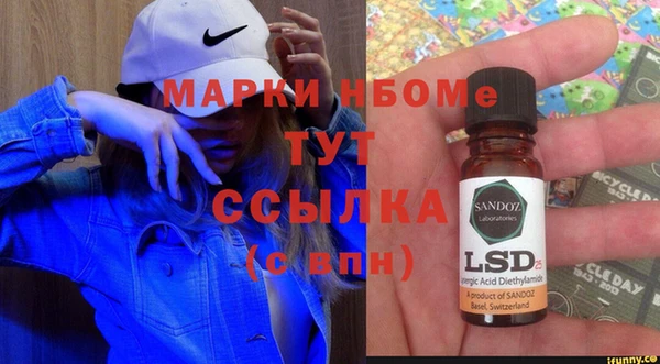 прущие грибы Алзамай