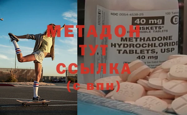 прущие грибы Алзамай