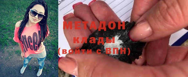 прущие грибы Алзамай